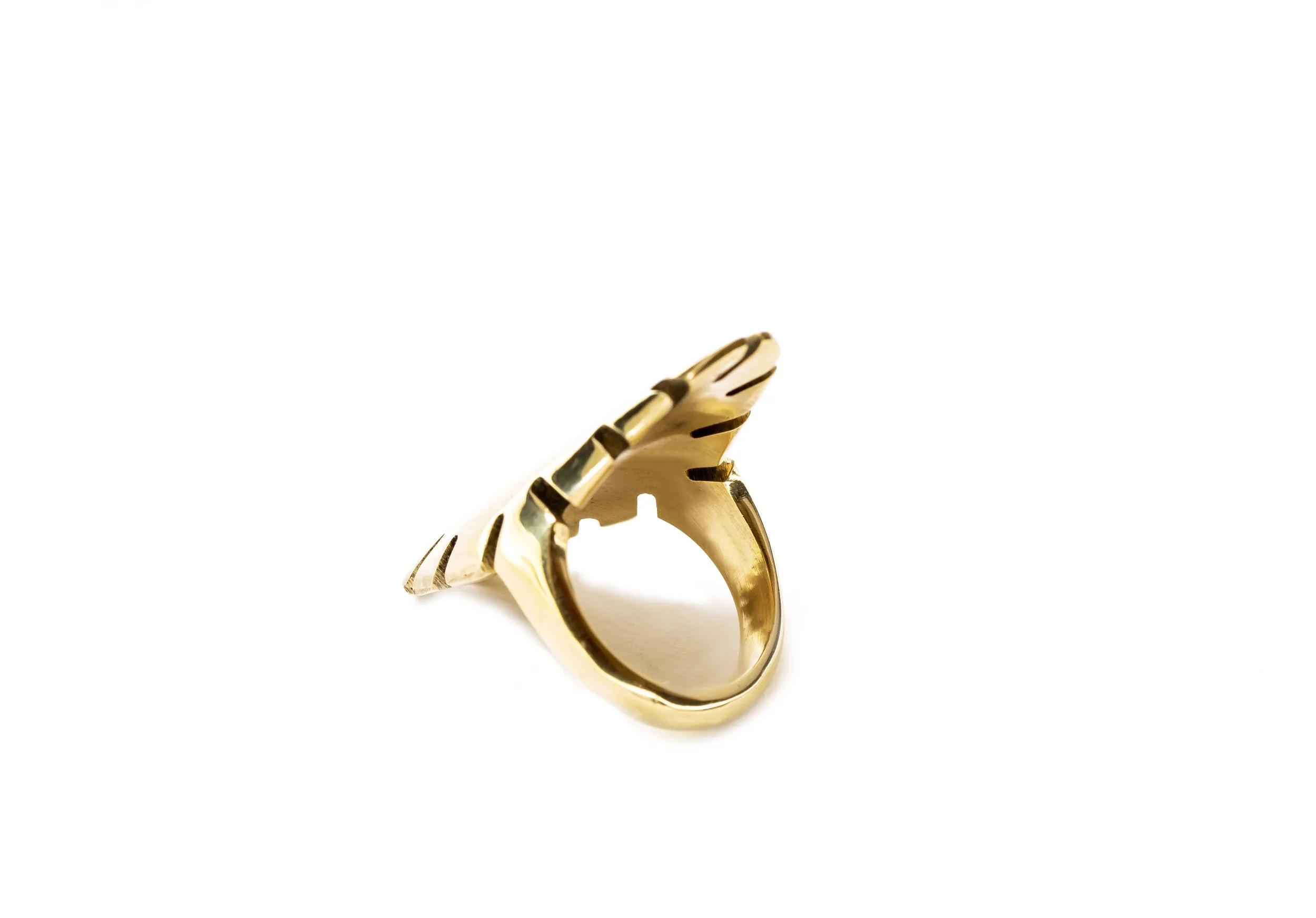 Kinshasa Ring
