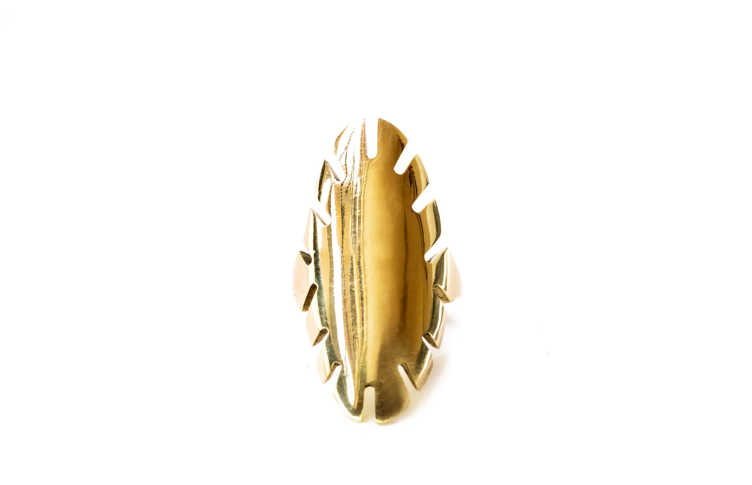 Kinshasa Ring