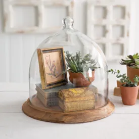 Large Glass Bell Cloche with Rustic Wood Base